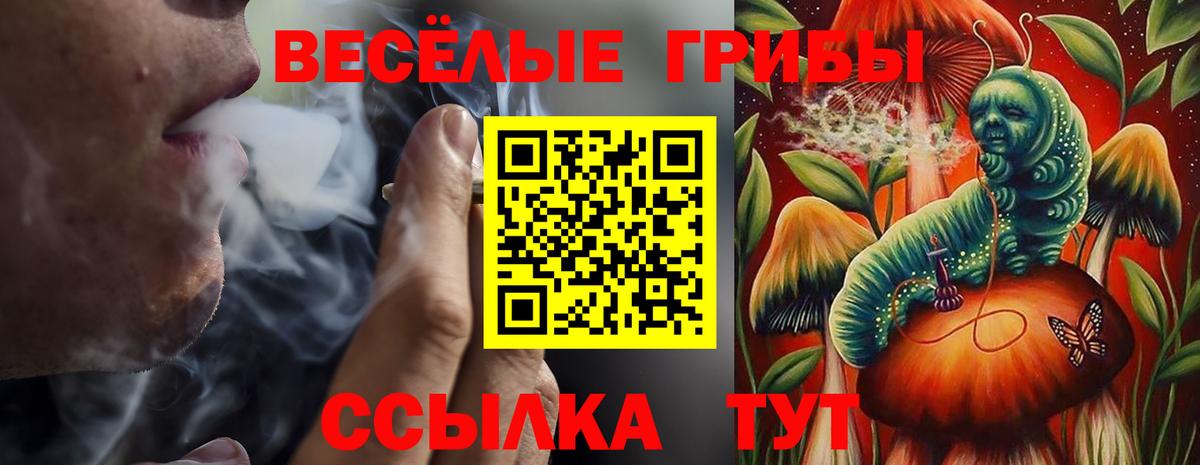 Псилоцибиновые грибы прущие грибы Моршанск